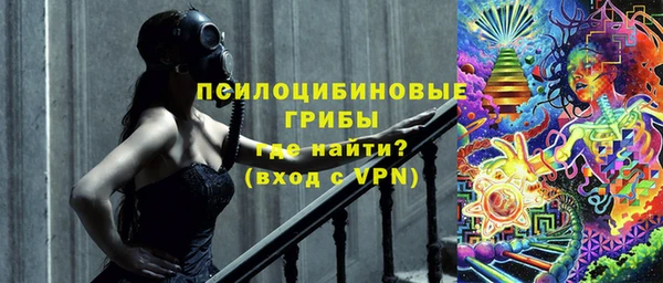 гидропоника Осинники