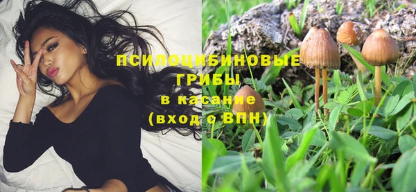 прущая мука Нягань