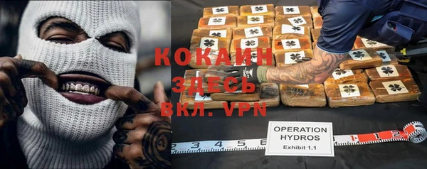гидропоника Осинники