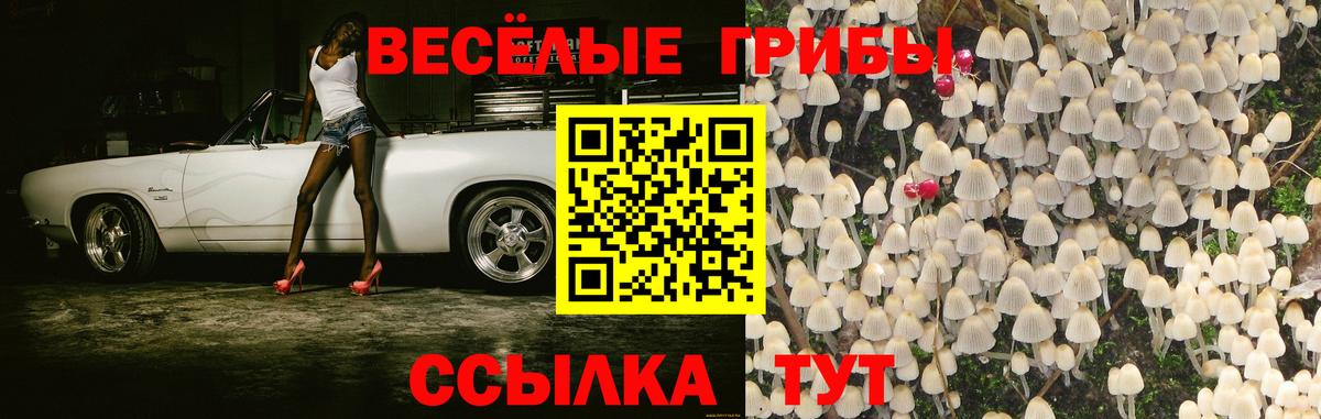 Галлюциногенные грибы Cubensis  купить наркотик  Боровичи  Вход с VPN 