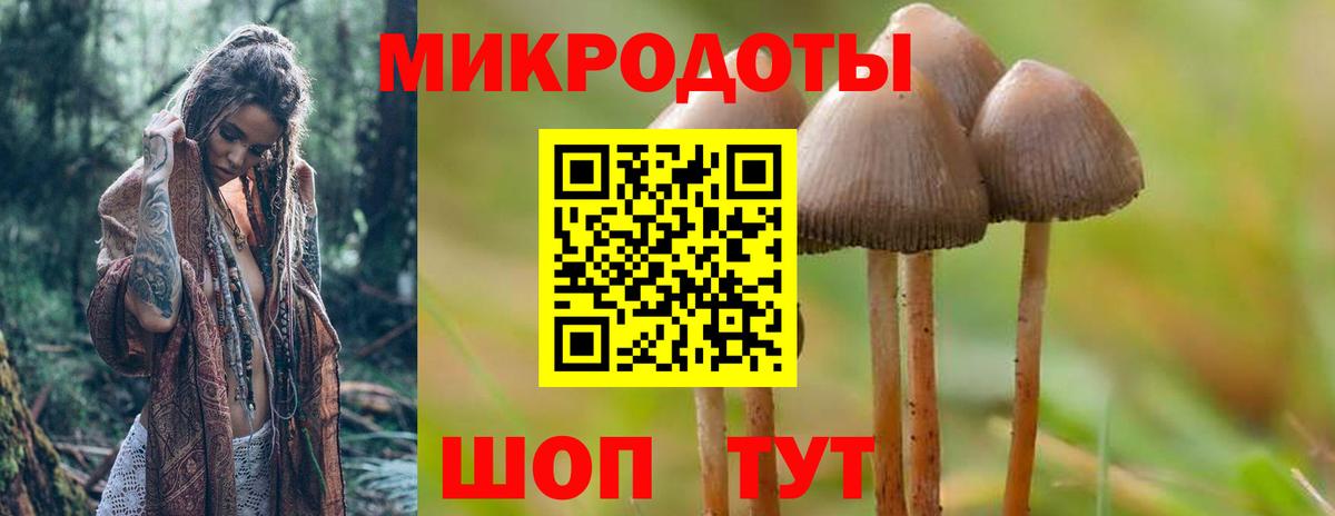 Галлюциногенные грибы мухоморы Боровичи